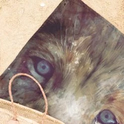 Juniqe Décoration De Jardin Serviette De Plage En éponge-velours En Blanc Ivoire & Marron 90x180 -Gants de toilette Soldes serviette de plage en eponge velours en blanc ivoire marron 90x180 5