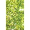 Juniqe Décoration De Jardin Serviette De Plage En éponge-velours En Blanc & Vert 90x180 -Gants de toilette Soldes serviette de plage en eponge velours en blanc vert 90x180 10