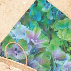 Juniqe Décoration De Jardin Serviette De Plage En éponge-velours En Bleu & Vert 90x180 -Gants de toilette Soldes serviette de plage en eponge velours en bleu vert 90x180 9