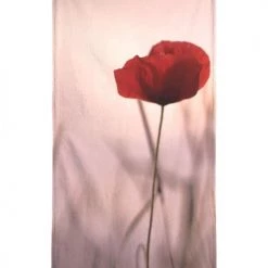 Juniqe Décoration De Jardin Serviette De Plage En éponge-velours En Noir & Rose 90x180