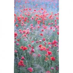 Juniqe Décoration De Jardin Serviette De Plage En éponge-velours En Rouge & Vert 90x180