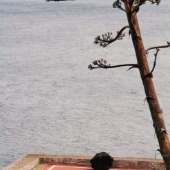 LA SERVIETTE PARIS Accessoires Et Serviettes De Plage Serviette De Plage XXL Coton Bio 500Gr/m² Rouille Cadre Crème 200x200 7 LA SERVIETTE PARIS Accessoires Et Serviettes De Plage Serviette De Plage XXL Coton Bio 500Gr/m² Rouille Cadre Crème 200x200 -Gants de toilette Soldes serviette de plage xxl coton bio 500gr m2 rouille cadre creme 200x200 3